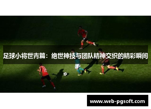 足球小将世青篇：绝世神技与团队精神交织的精彩瞬间